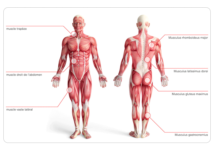 avantages des plateformes vibrantes